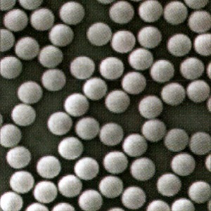 T細胞の活性化と増殖刺激用ダイナビーズ Dynabeads Mouse T-Activator CD3/CD28/CD137 (製造販売企業 ...